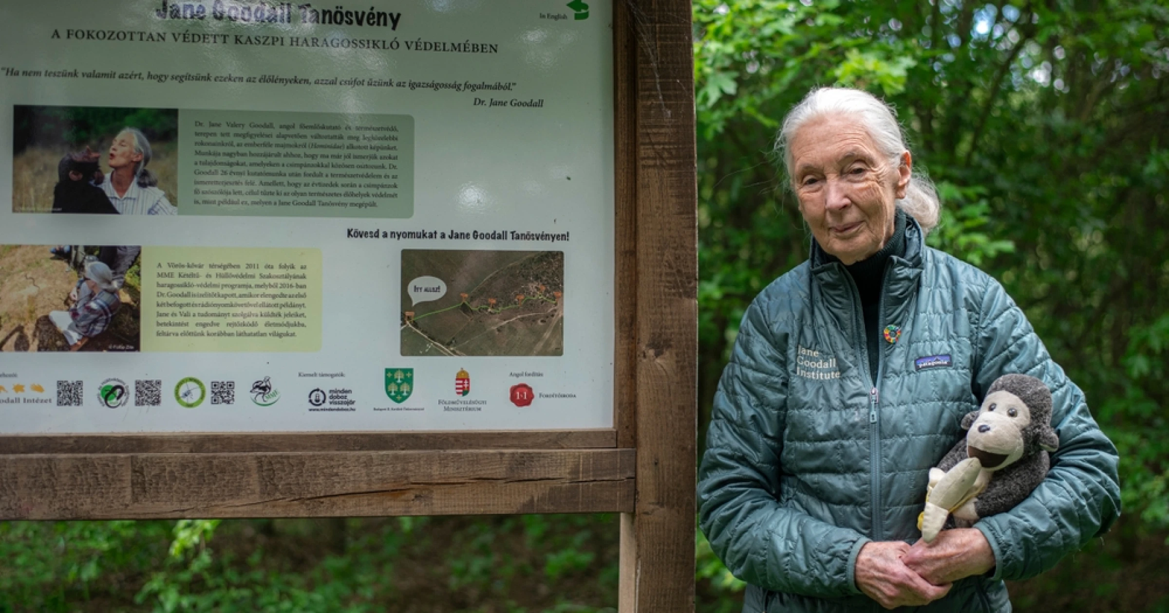 Adieu Jane Goodall : la femme qui a changé notre regard sur les chimpanzés
