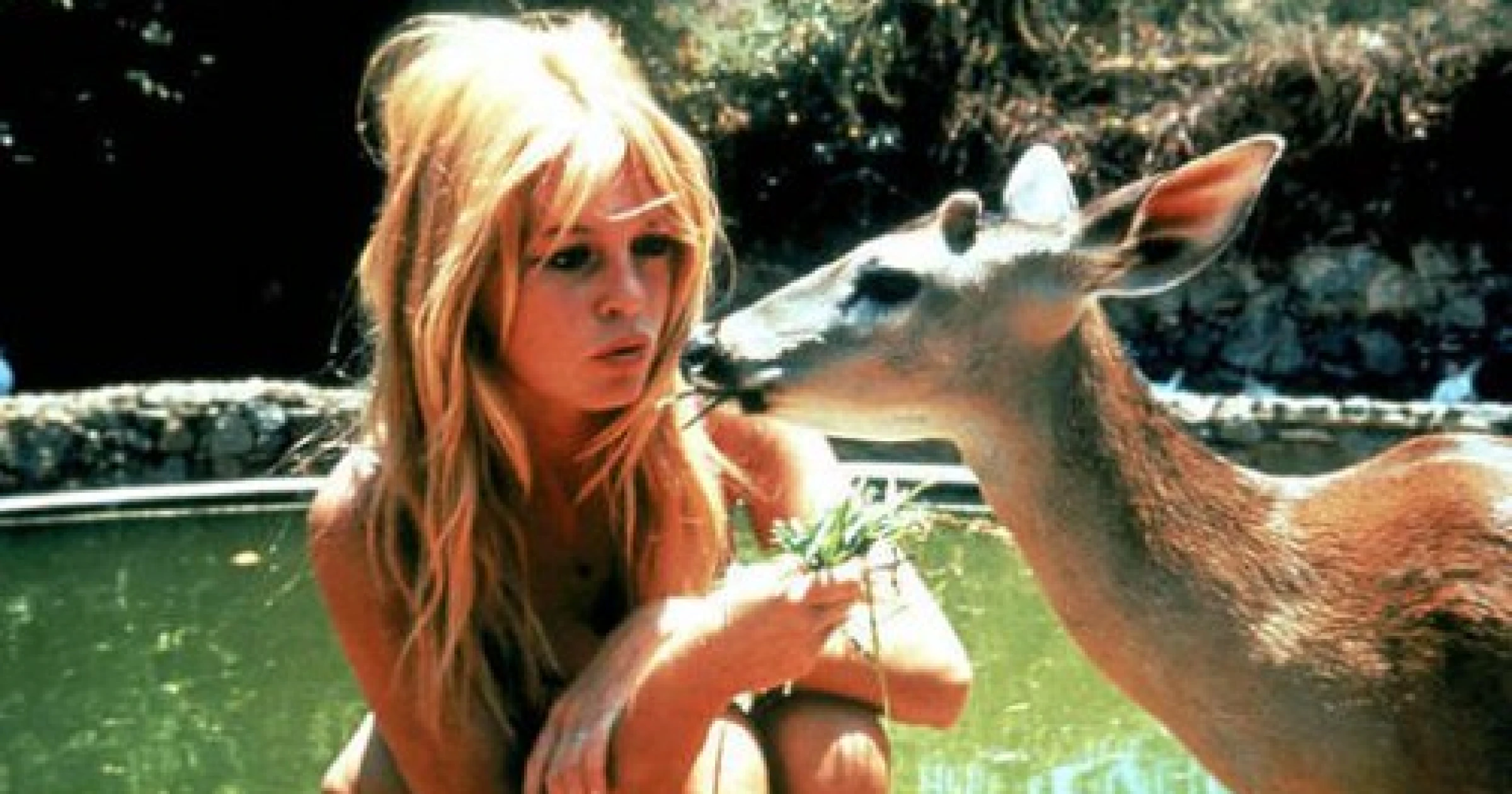 Brigitte Bardot : l'icône du cinéma français s'est éteinte à 91 ans, obsèques le 7 janvier à Saint-Tropez (1934 - 2025)