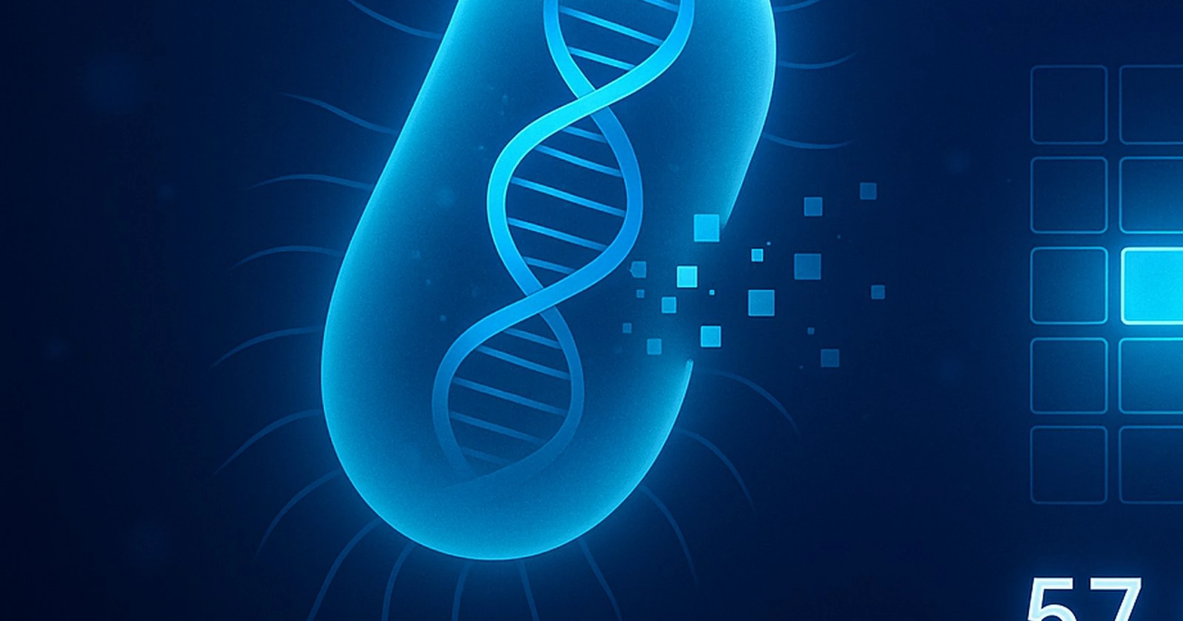 Syn57 : non, ce n’est pas une « vie artificielle » créée de toutes pièces