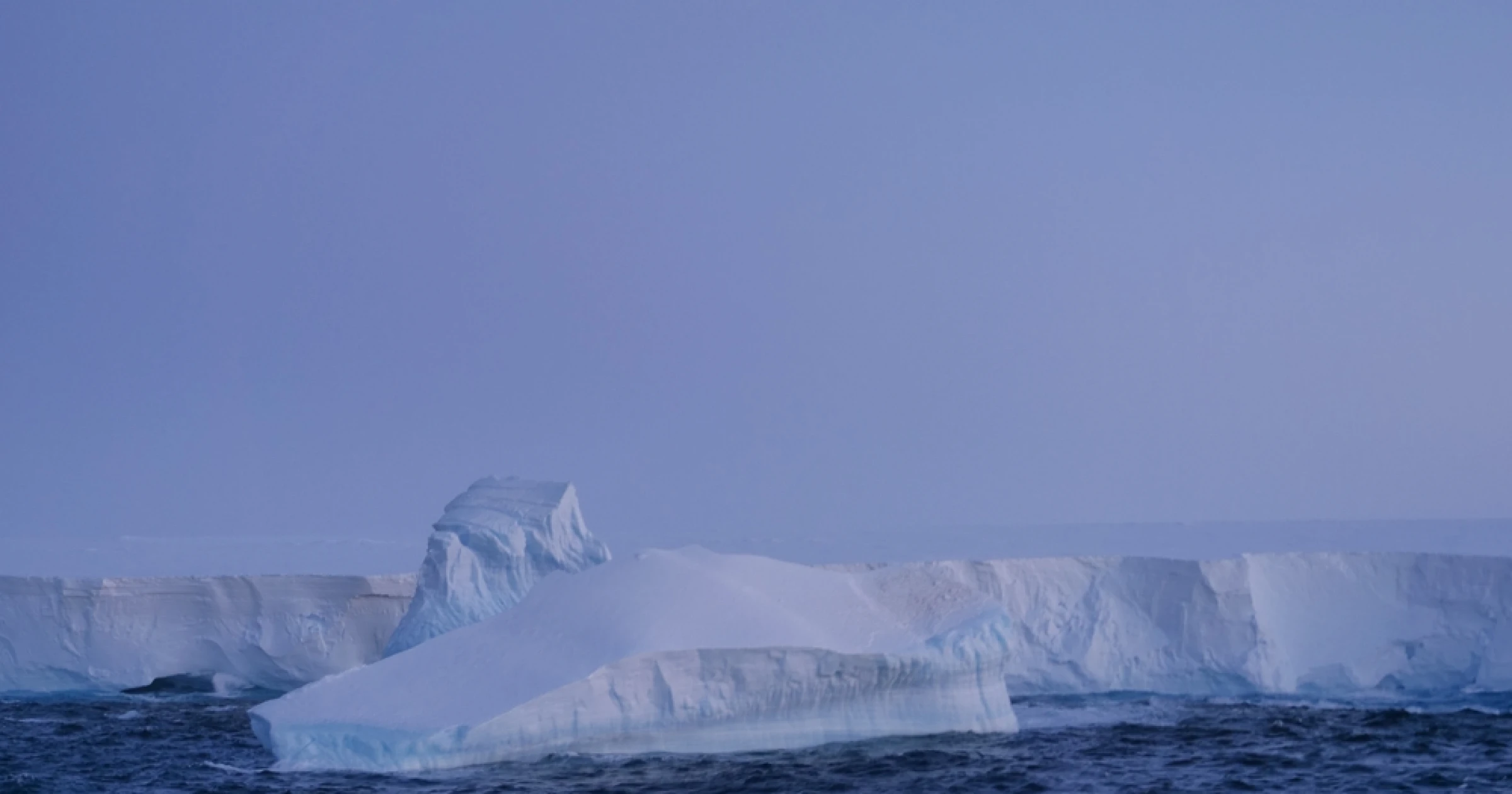 Un iceberg géant menace la survie de millions d'oiseaux, manchots empereurs et phoques